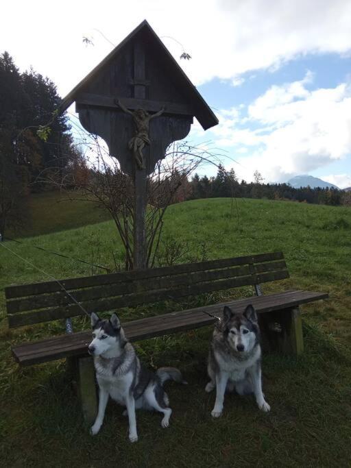 Wohnung Rheintal Im Alpenvorland Batschuns Екстериор снимка