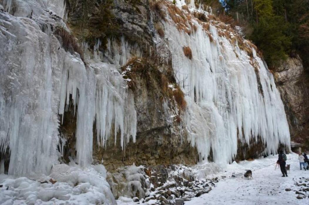 Wohnung Rheintal Im Alpenvorland Batschuns Екстериор снимка