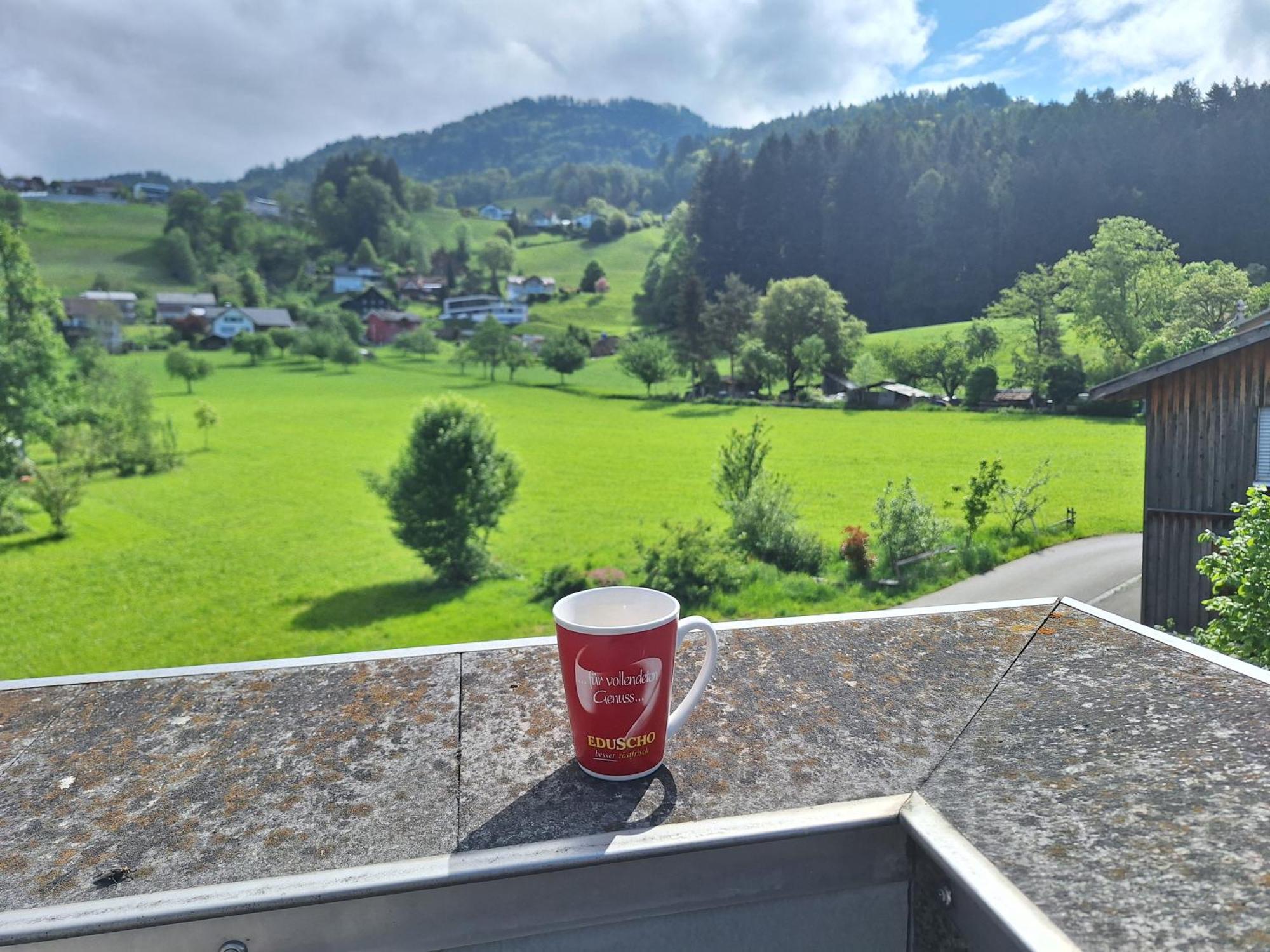 Wohnung Rheintal Im Alpenvorland Batschuns Екстериор снимка
