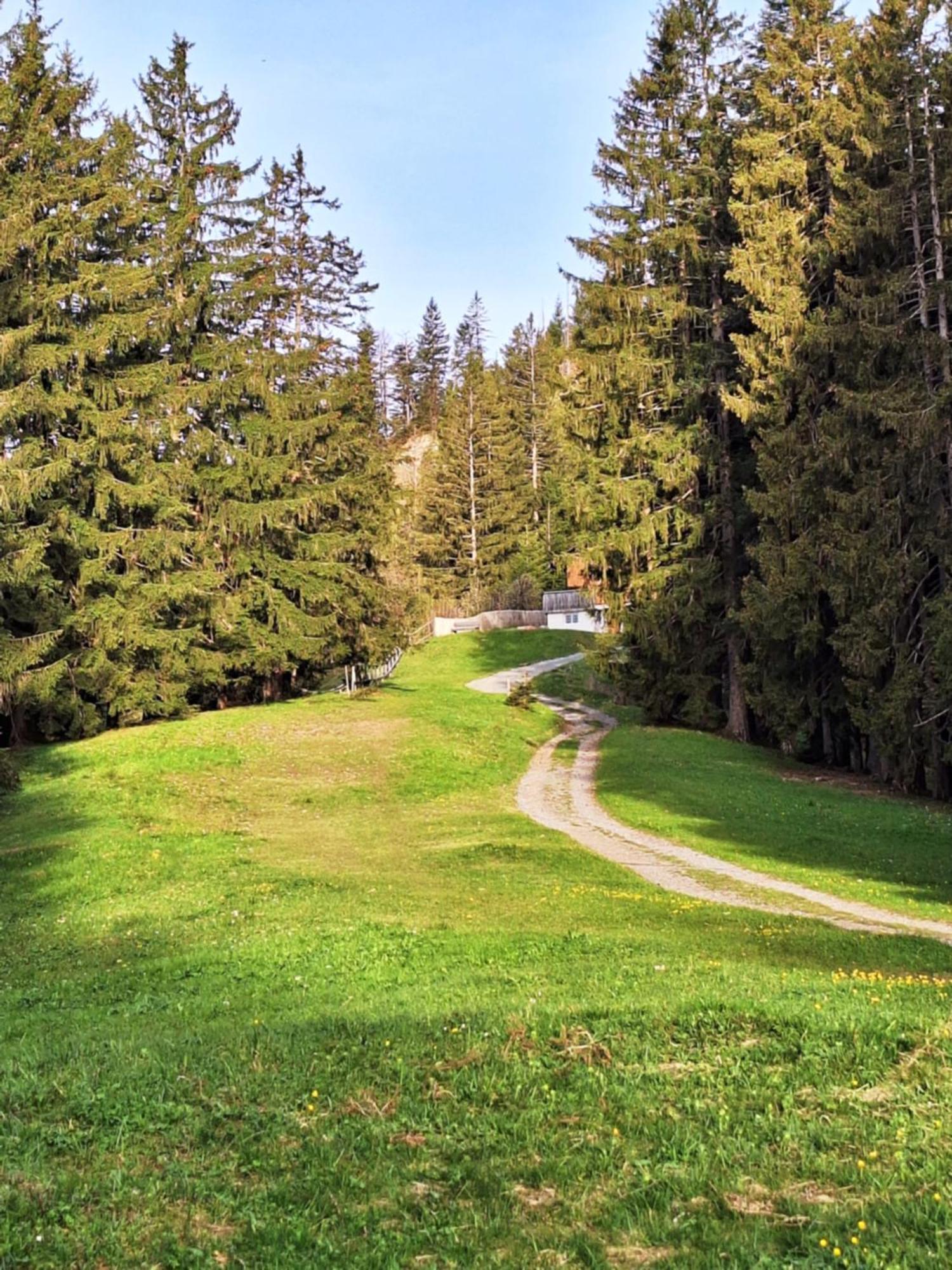 Wohnung Rheintal Im Alpenvorland Batschuns Екстериор снимка
