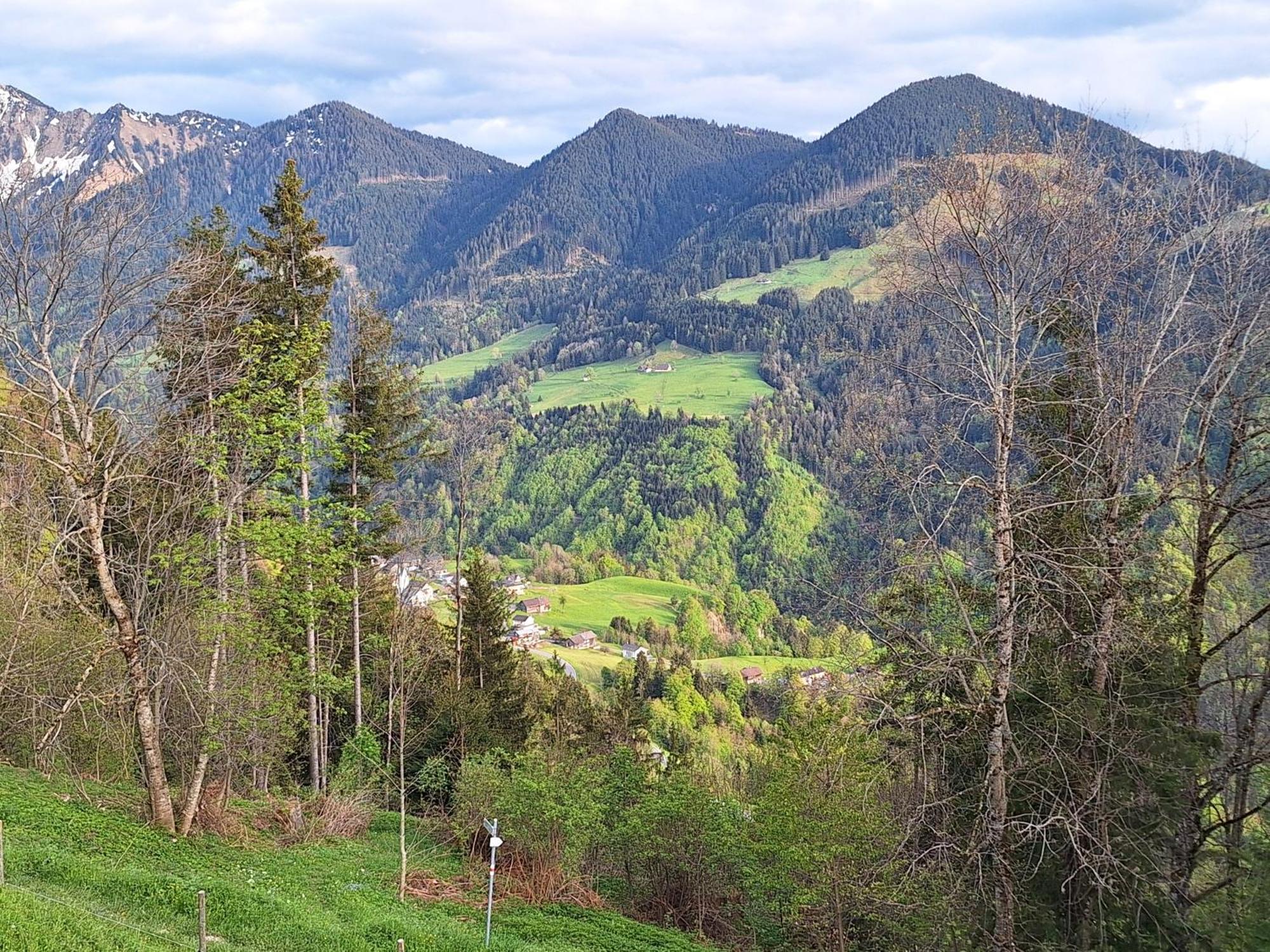 Wohnung Rheintal Im Alpenvorland Batschuns Екстериор снимка
