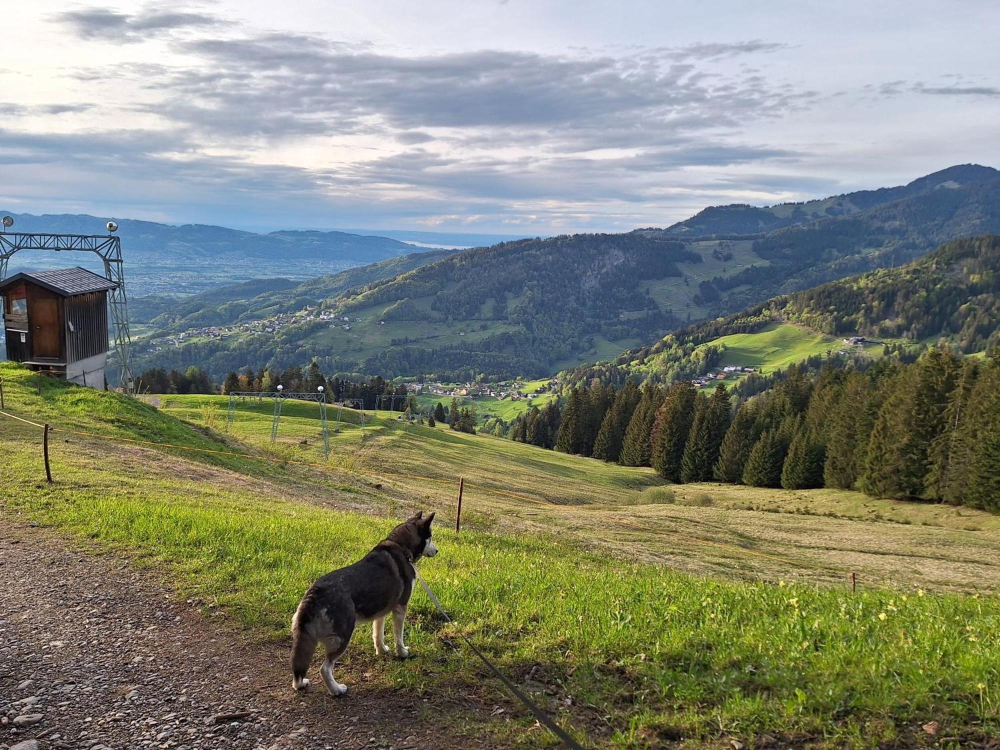 Wohnung Rheintal Im Alpenvorland Batschuns Екстериор снимка